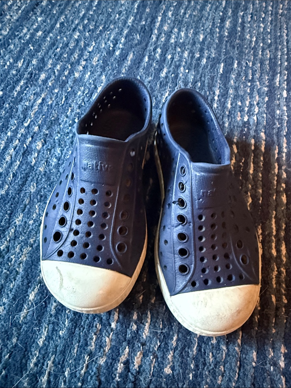 Native Jefferson Navy Shoes